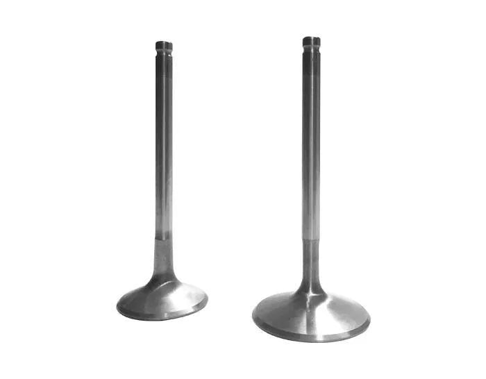 Sea-Doo Performance Valve Set - Image 2