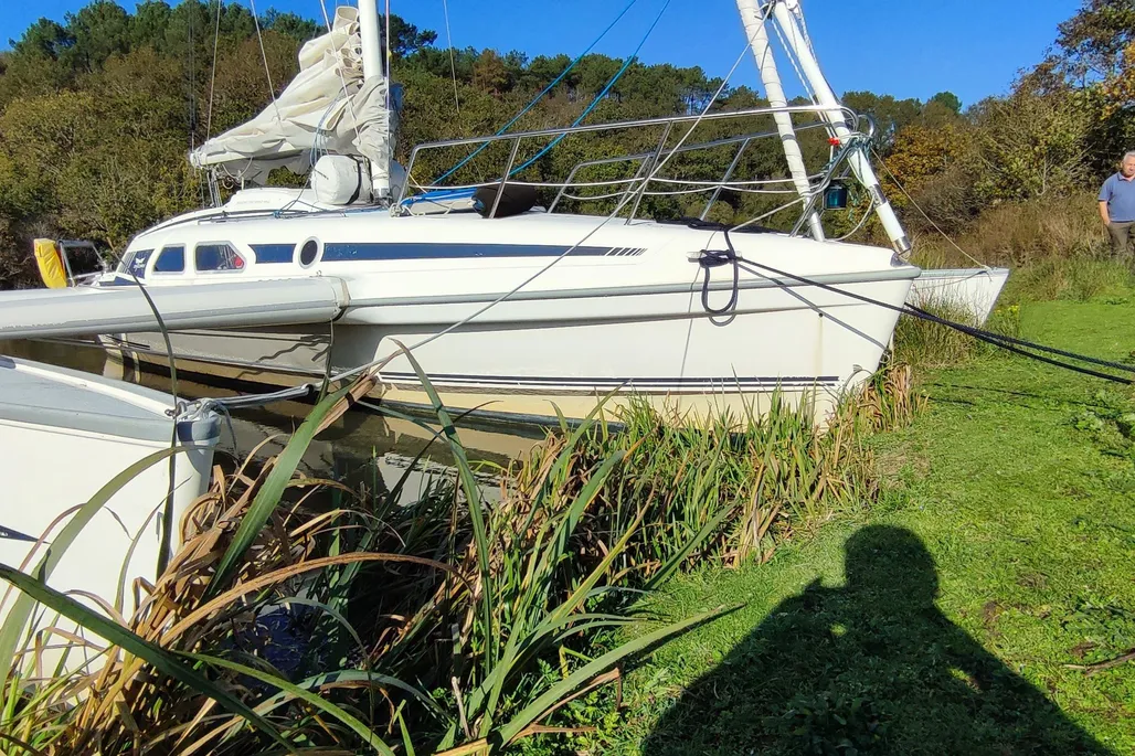 2002 Dragonfly Dragonfly 920 | 9m - Image 3