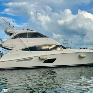 2011 Bertram 800 | 25m