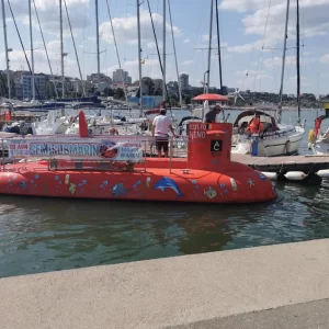2014 Agena Marin Semisubmarine 12PAX | 14m