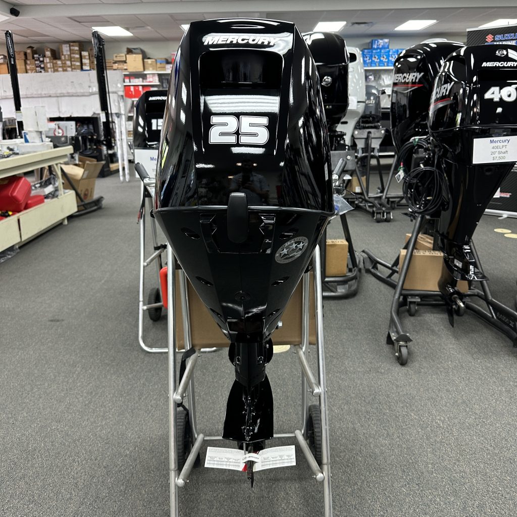 2024 Mercury 25MH 4-Stroke Tiller Handle - Image 5